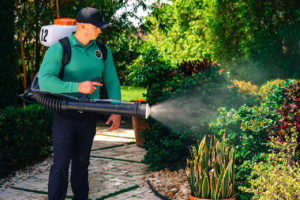 Mosquito Joe service technician in a long green shirt treating plants at a Florida home.