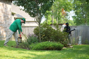 Service technicians in Broward, Florida, apply barrier treatments to backyard plants.