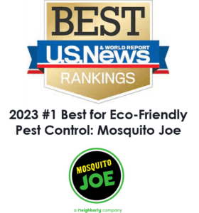 us news top ten pest control